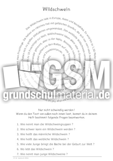 Wildschwein.pdf